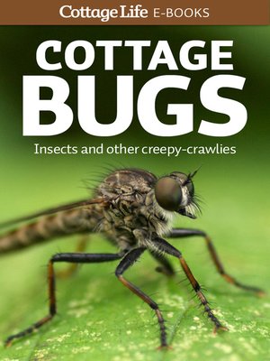 cover image of Cottage Bugs